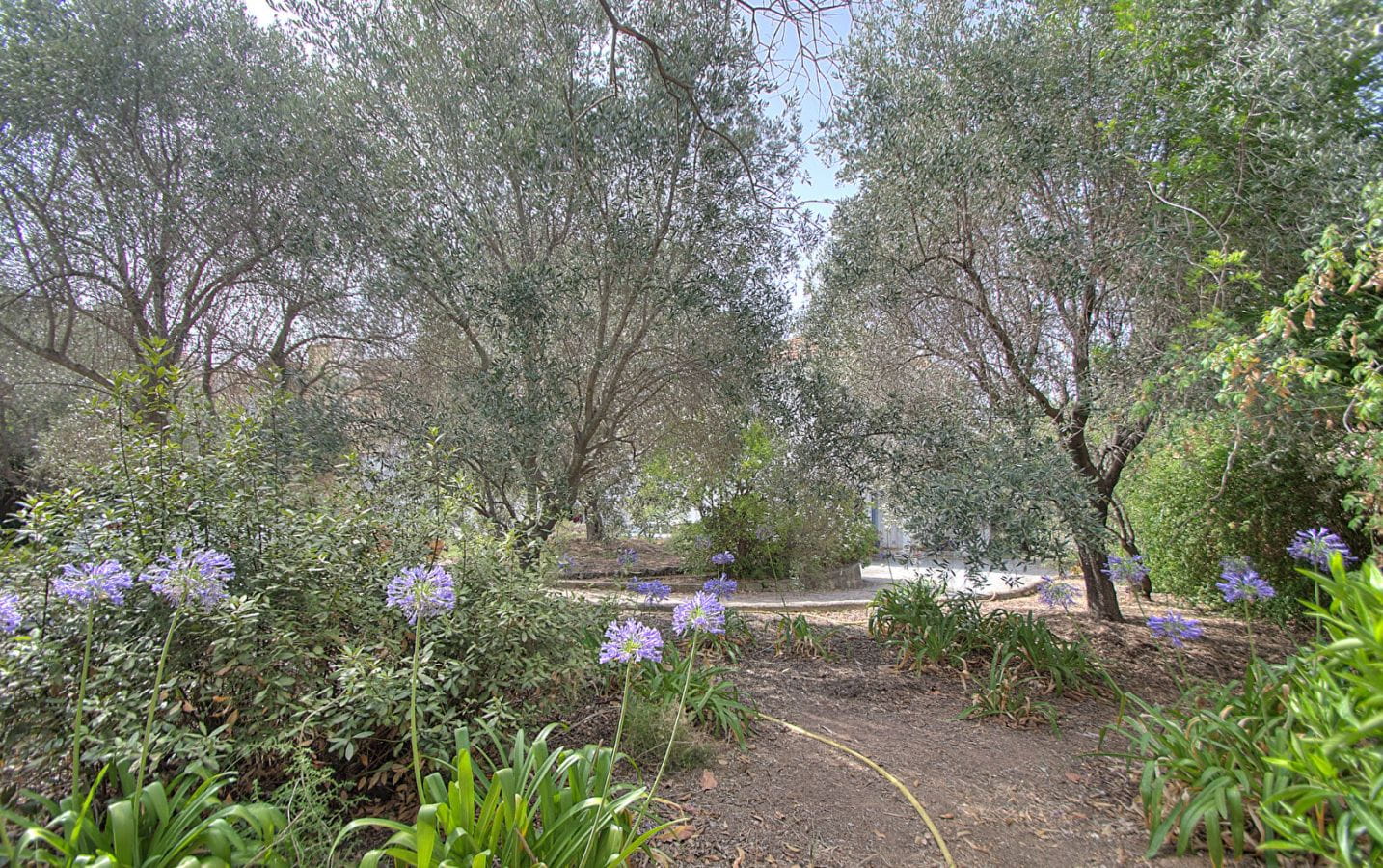 VILLA BELLE ÉPOQUE  AVEC VUE MER A RENOVER PROCHE CENTRE VILLE ET PLAGES A PIED A SAINT RAPHAEL Image 10