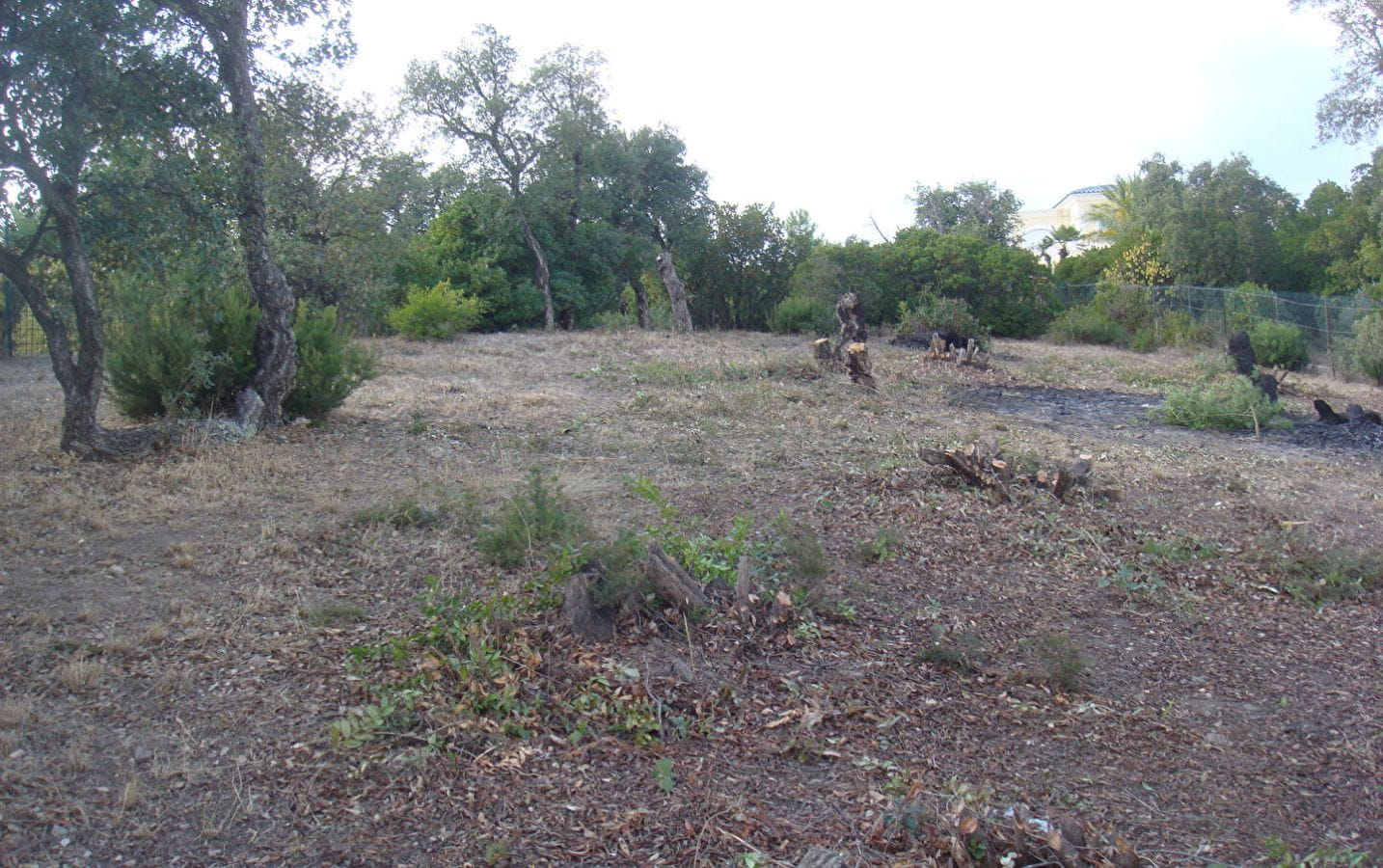 À VENDRE TERRAIN CONSTRUCTIBLE DE 1826M² AVEC VUE MER, AUX ISSAMBRES PROCHE MER Image 7