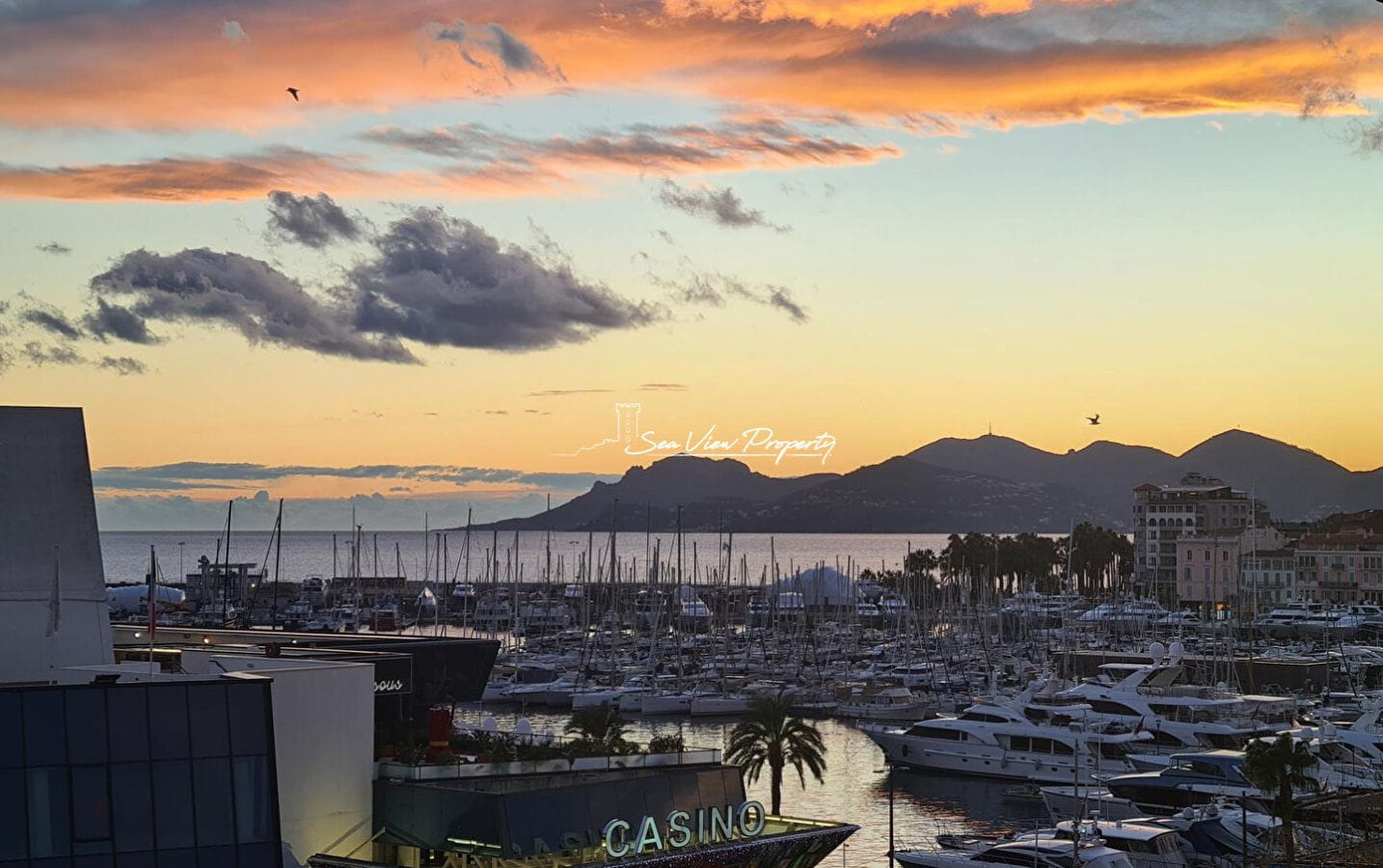Cannes – Penthouse Vue Mer Image 1