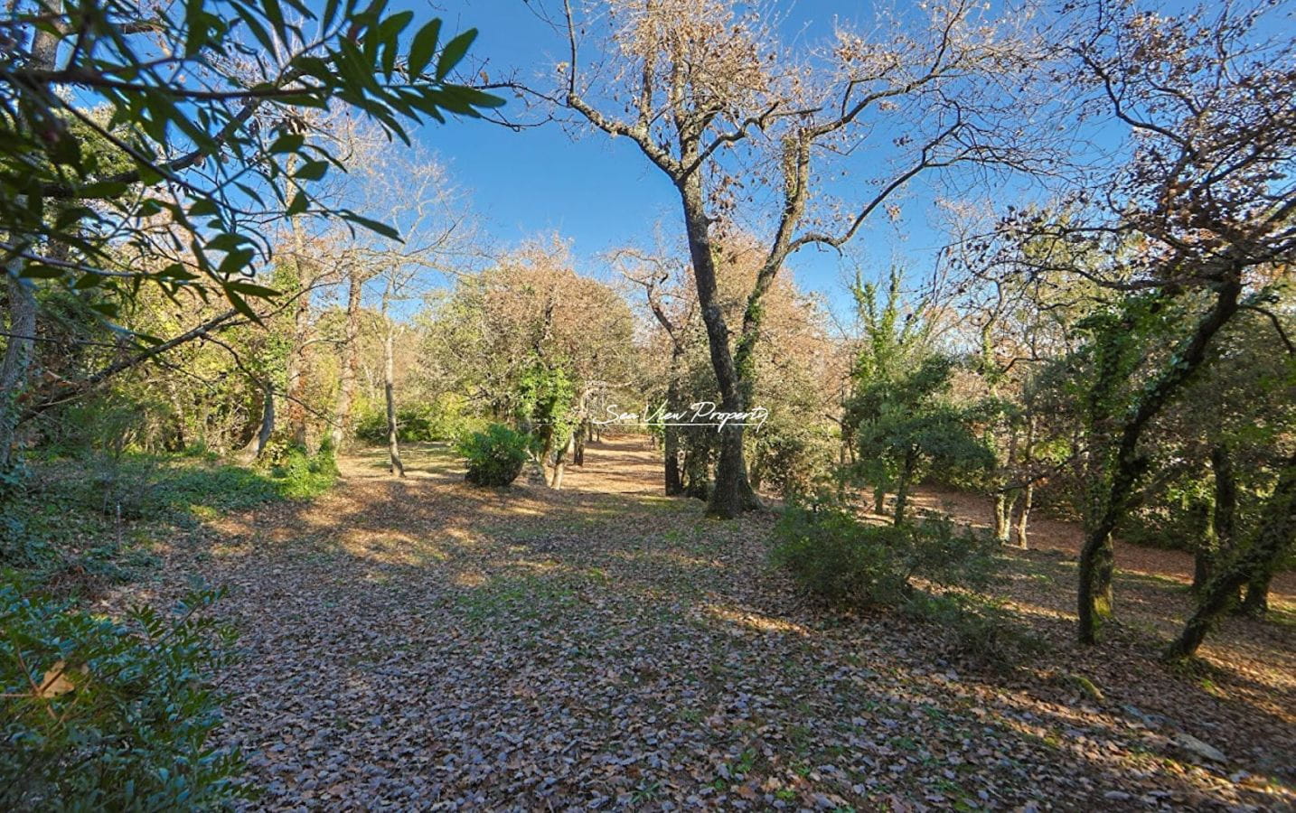 Cabris, Villa Panoramic View To The Sea Image 13
