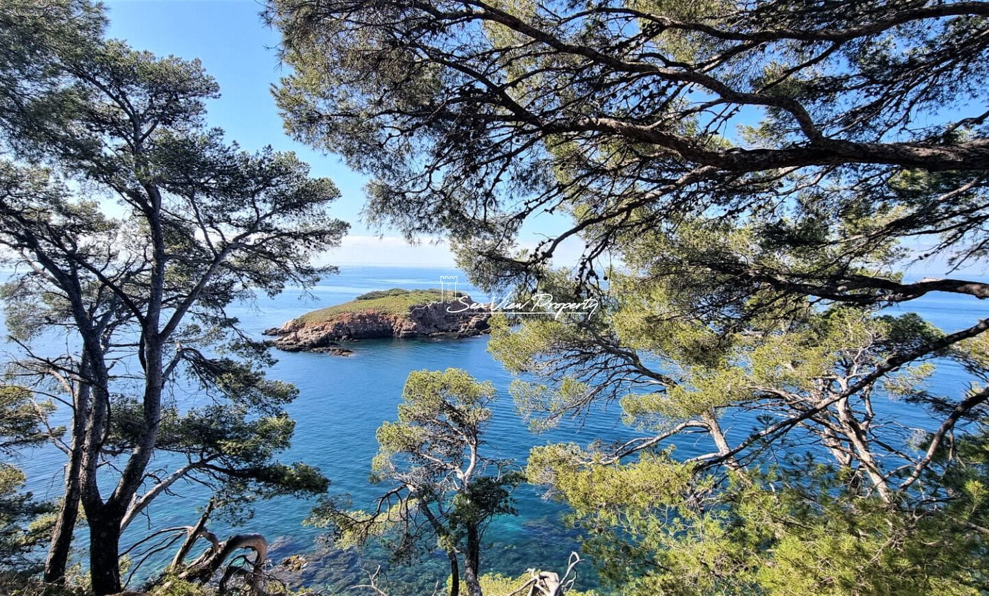 Appartement  En Duplex 4 Pièce(s) 85 M2, Pieds Dans  L’eau Image 2