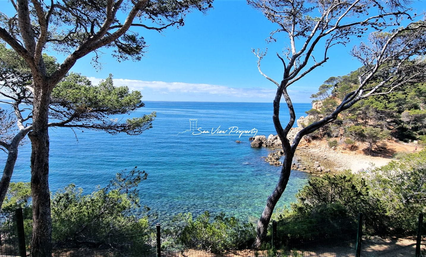 Appartement  En Duplex 4 Pièce(s) 85 M2, Pieds Dans  L’eau Image 12