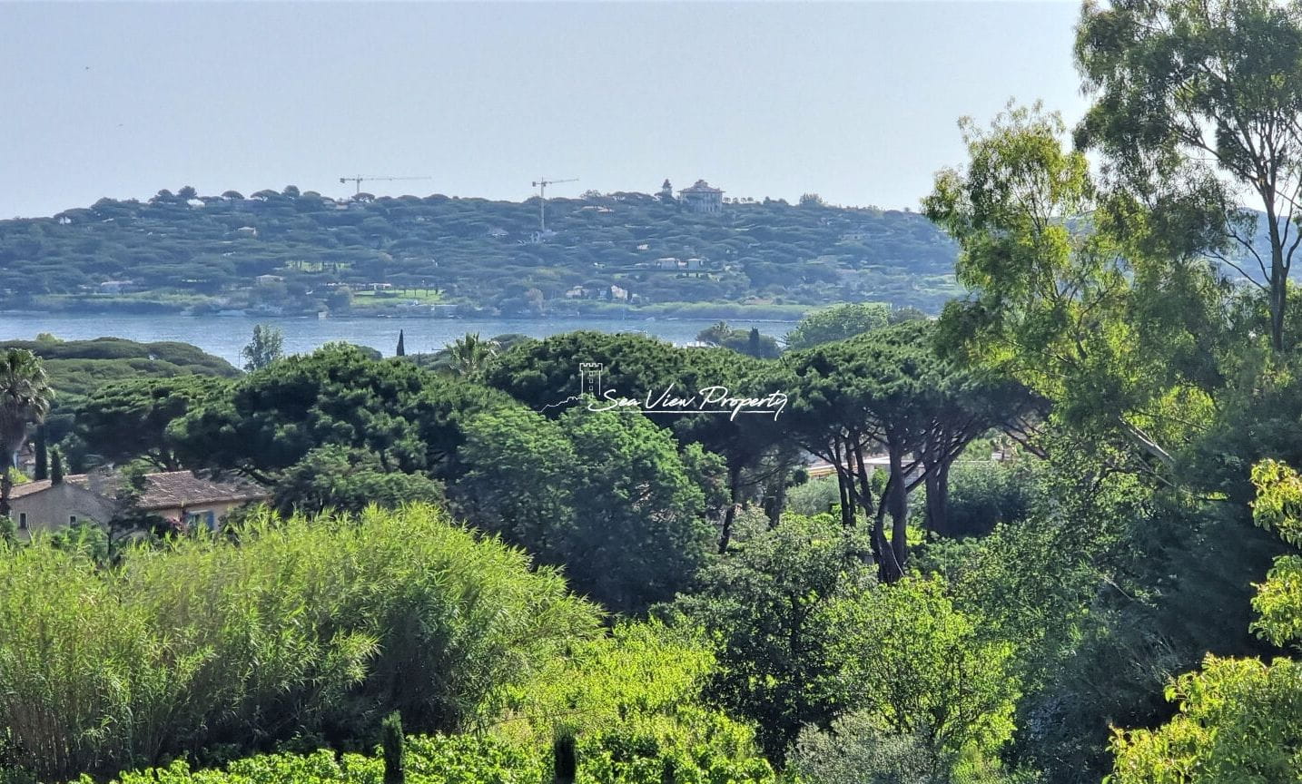 Villa Vue Mer Et Vignes à Saint-tropez Image 1