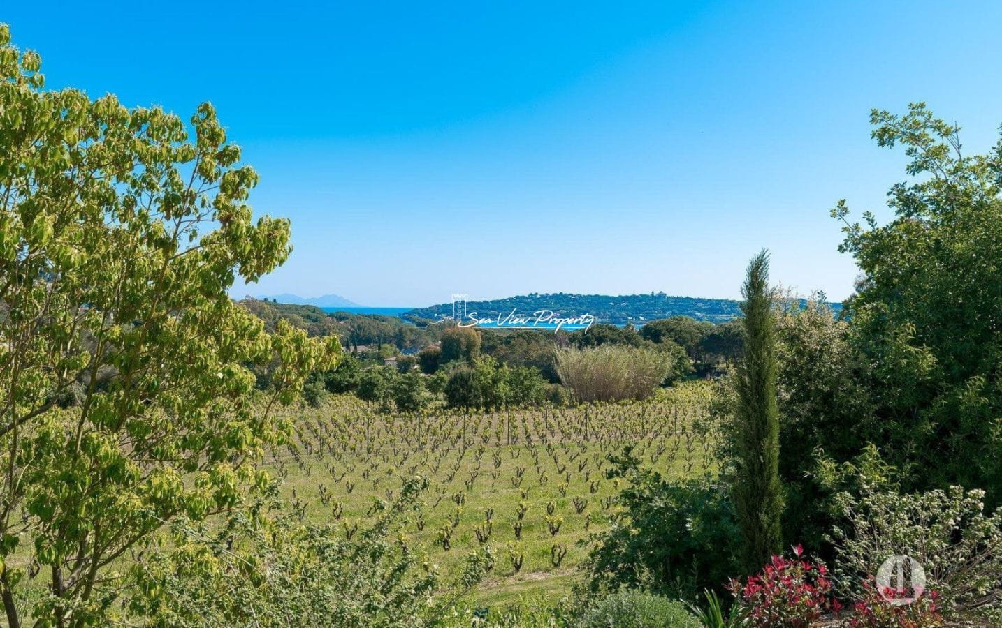 Villa With Sea View And Vineyard In Saint-tropez Image 15