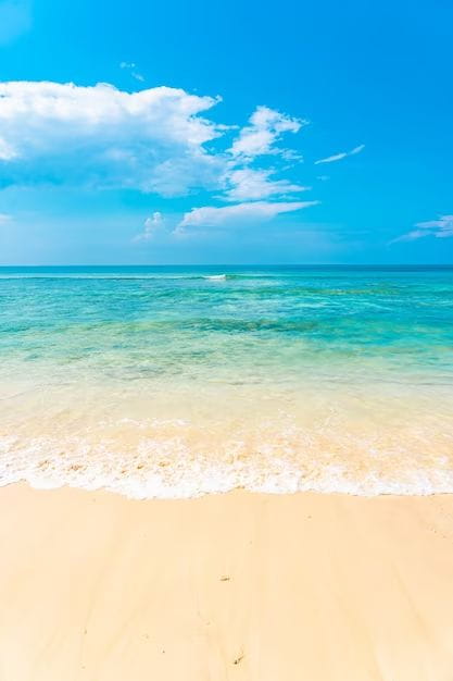 Off Market: Small Sea View Villa Project In A Private Domain In Saint-tropez Image 0