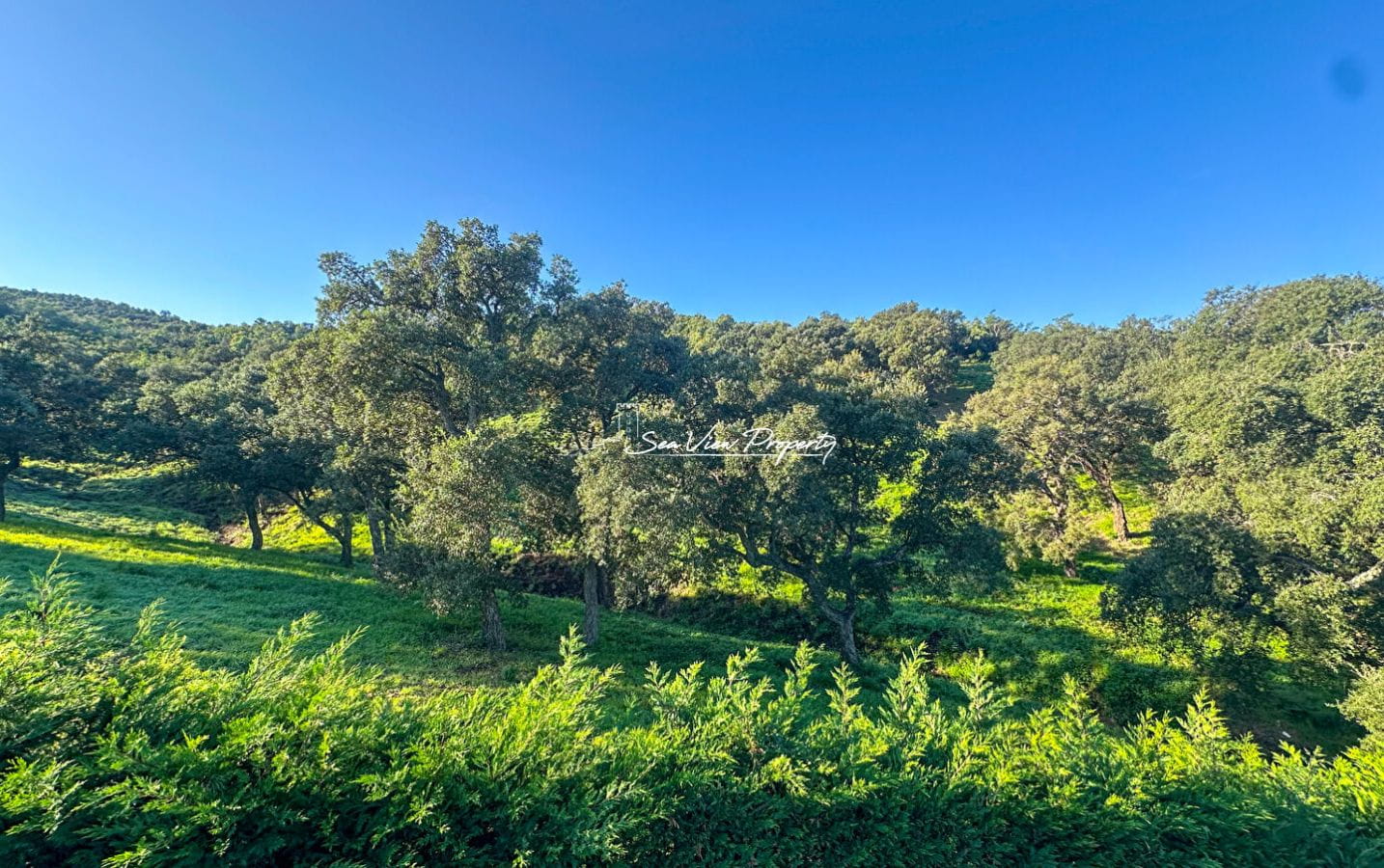 VILLA AVEC VUE MER 2 APPARTEMENTS 5 CHAMBRES, AUX ISSAMBRES Image 3