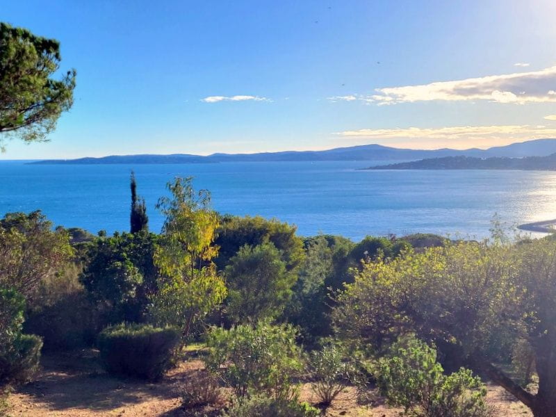 Demeure de prestige Les Issambres 6 pièce(s)  Face Mer 280 m2 + annexes Image 1