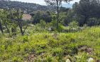 À VENDRE TERRAIN CONSTRUCTIBLE VUE MER Min 1