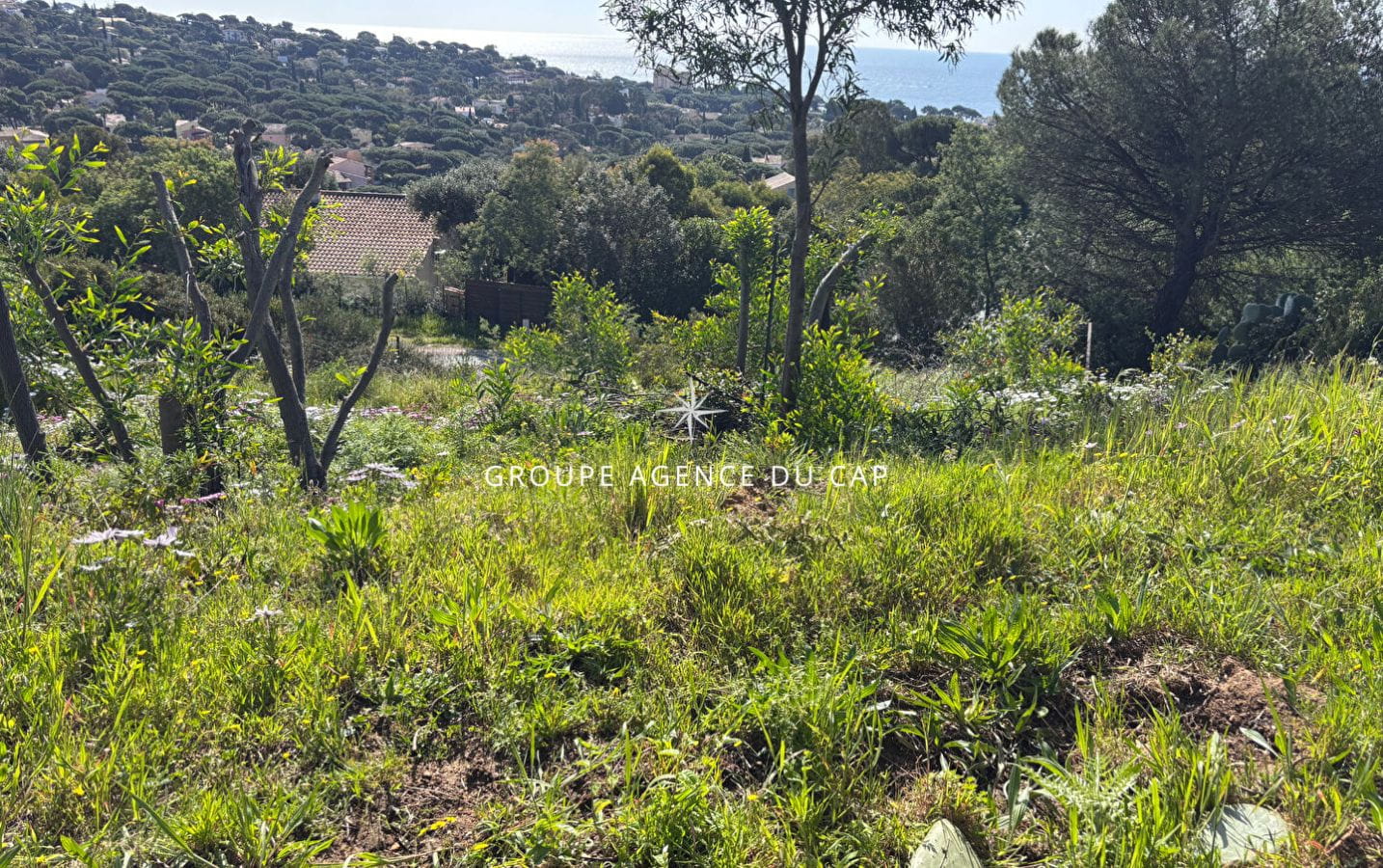 À VENDRE TERRAIN CONSTRUCTIBLE VUE MER Image 1