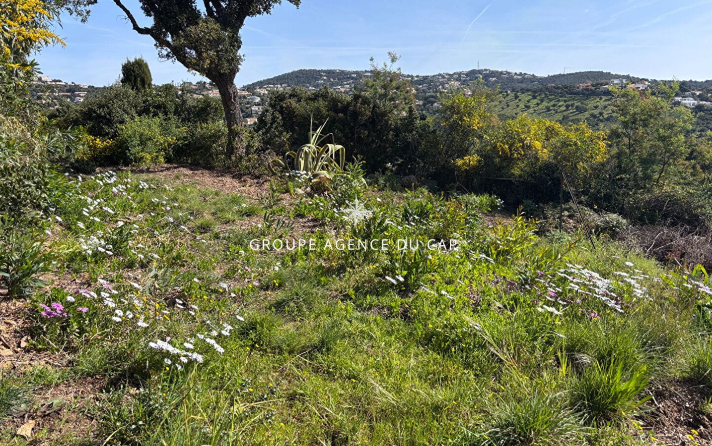 À VENDRE TERRAIN CONSTRUCTIBLE VUE MER Image 3