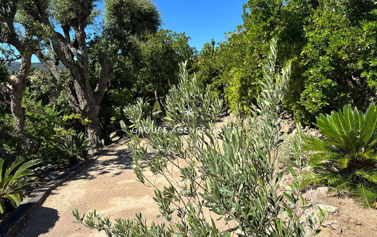 Villa Provençale à Vendre avec Vue Mer à Saint Aygulf – 5 Pièces, Piscine et Garage Image 14